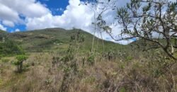 Fazenda 222ha com Cachoeira e Rio Vale do Macaco – Proximo a Cachoeira Macaquinhos – Alto Paraíso de Goiás Fazenda 222ha com Cachoeira e Rio Vale do Macaco – Proximo a Cachoeira Macaquinhos – Alto Paraíso de Goiás