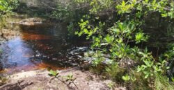 Fazenda 222ha com Cachoeira e Rio Vale do Macaco – Proximo a Cachoeira Macaquinhos – Alto Paraíso de Goiás Fazenda 222ha com Cachoeira e Rio Vale do Macaco – Proximo a Cachoeira Macaquinhos – Alto Paraíso de Goiás