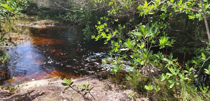 Fazenda 222ha com Cachoeira e Rio Vale do Macaco – Proximo a Cachoeira Macaquinhos – Alto Paraíso de Goiás
