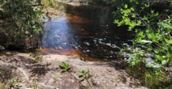 Fazenda 222ha com Cachoeira e Rio Vale do Macaco – Proximo a Cachoeira Macaquinhos – Alto Paraíso de Goiás Fazenda 222ha com Cachoeira e Rio Vale do Macaco – Proximo a Cachoeira Macaquinhos – Alto Paraíso de Goiás