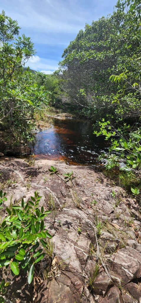 Fazenda 222ha com Cachoeira Coca Cola e Rio Vale do Macaco – Proximo a Cachoeira Macaquinhos – Alto Paraíso de Goiás