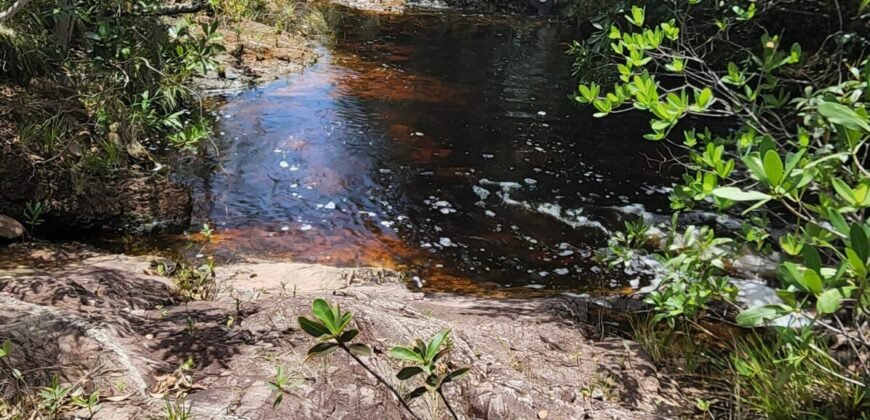 Fazenda 222ha com Cachoeira e Rio Vale do Macaco – Proximo a Cachoeira Macaquinhos – Alto Paraíso de Goiás