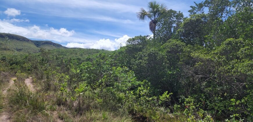 Fazenda 222ha com Cachoeira e Rio Vale do Macaco – Proximo a Cachoeira Macaquinhos – Alto Paraíso de Goiás