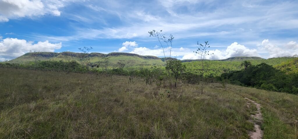 Fazenda 222ha com Cachoeira Coca Cola e Rio Vale do Macaco – Proximo a Cachoeira Macaquinhos – Alto Paraíso de Goiás