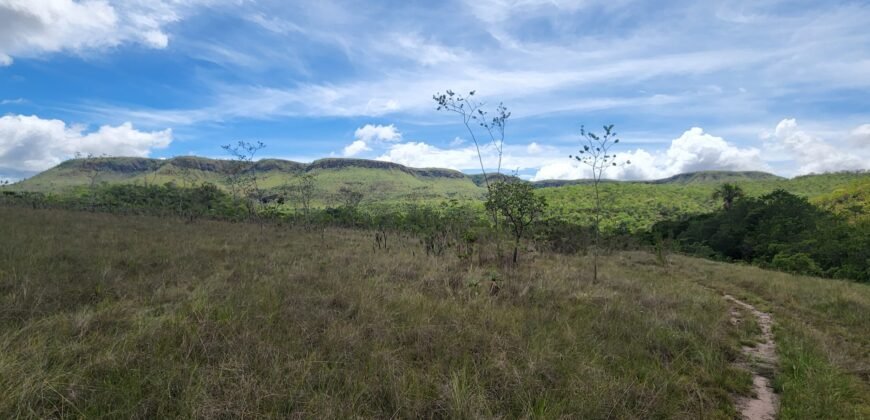 Fazenda 222ha com Cachoeira e Rio Vale do Macaco – Proximo a Cachoeira Macaquinhos – Alto Paraíso de Goiás