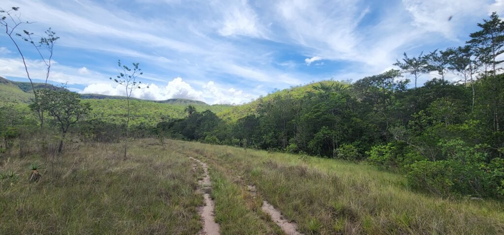 Fazenda 222ha com Cachoeira Coca Cola e Rio Vale do Macaco – Proximo a Cachoeira Macaquinhos – Alto Paraíso de Goiás