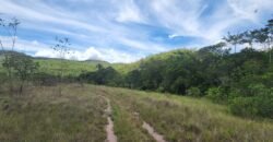 Fazenda 222ha com Cachoeira e Rio Vale do Macaco – Proximo a Cachoeira Macaquinhos – Alto Paraíso de Goiás Fazenda 222ha com Cachoeira e Rio Vale do Macaco – Proximo a Cachoeira Macaquinhos – Alto Paraíso de Goiás