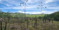 Fazenda 222ha com Cachoeira e Rio Vale do Macaco – Proximo a Cachoeira Macaquinhos – Alto Paraíso de Goiás Fazenda 222ha com Cachoeira e Rio Vale do Macaco – Proximo a Cachoeira Macaquinhos – Alto Paraíso de Goiás