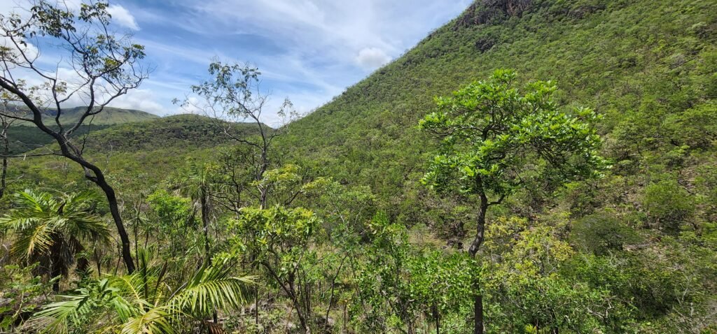 Fazenda 222ha com Cachoeira Coca Cola e Rio Vale do Macaco – Proximo a Cachoeira Macaquinhos – Alto Paraíso de Goiás