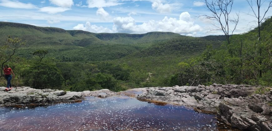 Fazenda 222ha com Cachoeira e Rio Vale do Macaco – Proximo a Cachoeira Macaquinhos – Alto Paraíso de Goiás
