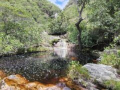 Fazenda 222ha com Cachoeira Coca Cola e Rio Vale do Macaco – Proximo a Cachoeira Macaquinhos – Alto Paraíso de Goiás