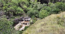 Fazenda 222ha com Cachoeira e Rio Vale do Macaco – Proximo a Cachoeira Macaquinhos – Alto Paraíso de Goiás Fazenda 222ha com Cachoeira e Rio Vale do Macaco – Proximo a Cachoeira Macaquinhos – Alto Paraíso de Goiás