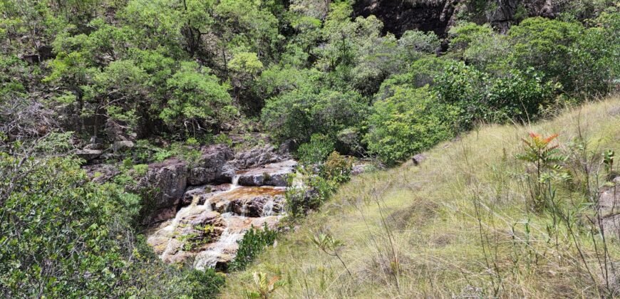 Fazenda 222ha com Cachoeira e Rio Vale do Macaco – Proximo a Cachoeira Macaquinhos – Alto Paraíso de Goiás