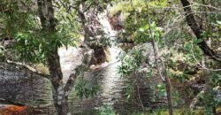 Fazenda 222ha com Cachoeira e Rio Vale do Macaco – Proximo a Cachoeira Macaquinhos – Alto Paraíso de Goiás Fazenda 222ha com Cachoeira e Rio Vale do Macaco – Proximo a Cachoeira Macaquinhos – Alto Paraíso de Goiás