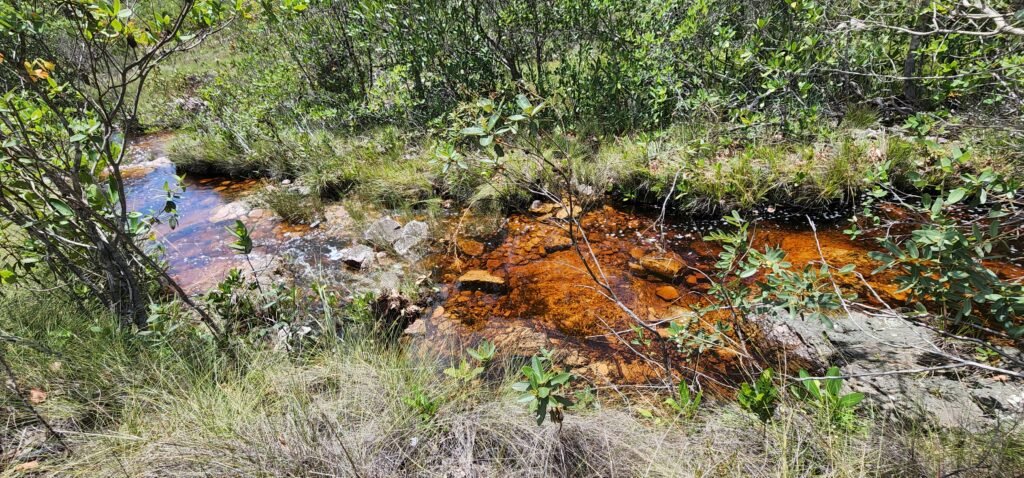 Fazenda 222ha com Cachoeira Coca Cola e Rio Vale do Macaco – Proximo a Cachoeira Macaquinhos – Alto Paraíso de Goiás