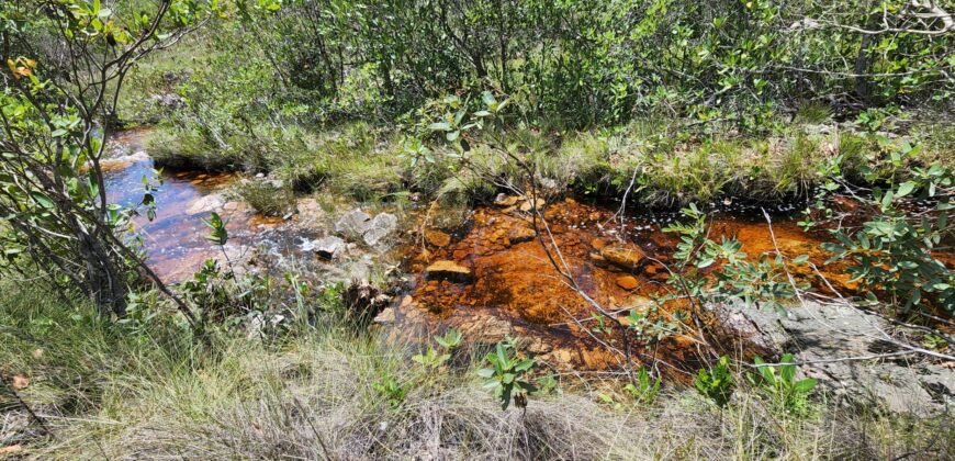 Fazenda 222ha com Cachoeira e Rio Vale do Macaco – Proximo a Cachoeira Macaquinhos – Alto Paraíso de Goiás