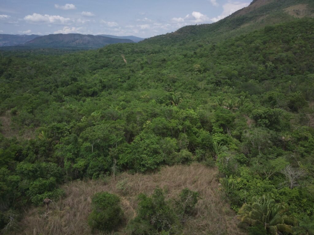 Maravilhosa Chácara de 37ha – Rio – Alto Paraíso de Goiás