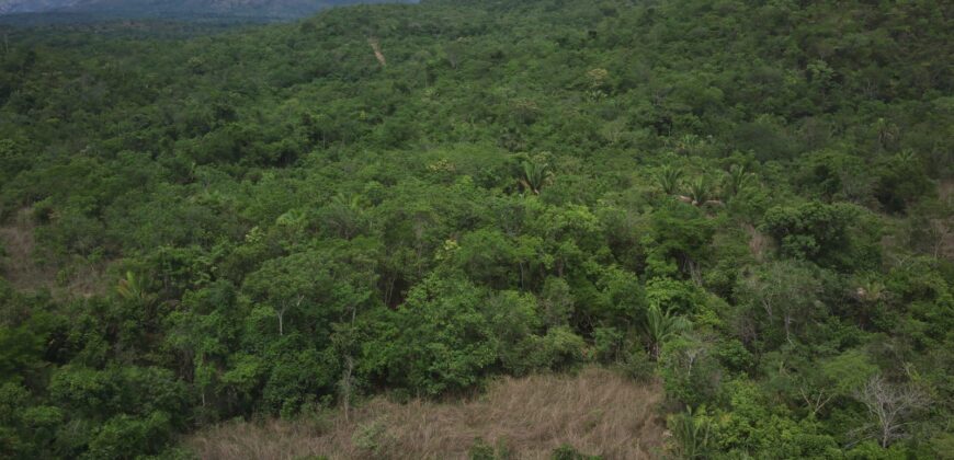 Maravilhosa Chácara de 37ha – Rio – Alto Paraíso de Goiás