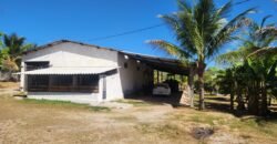 Fazenda 120 Alqueires – Pecuária/Agricultura – 2,5km de Teresina de Goiás – Chapada dos Veadeiros Fazenda 120 Alqueires – Pecuária/Agricultura – 2,5km de Teresina de Goiás – Chapada dos Veadeiros