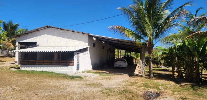 Fazenda 120 Alqueires – Pecuária/Agricultura – 2,5km de Teresina de Goiás – Chapada dos Veadeiros