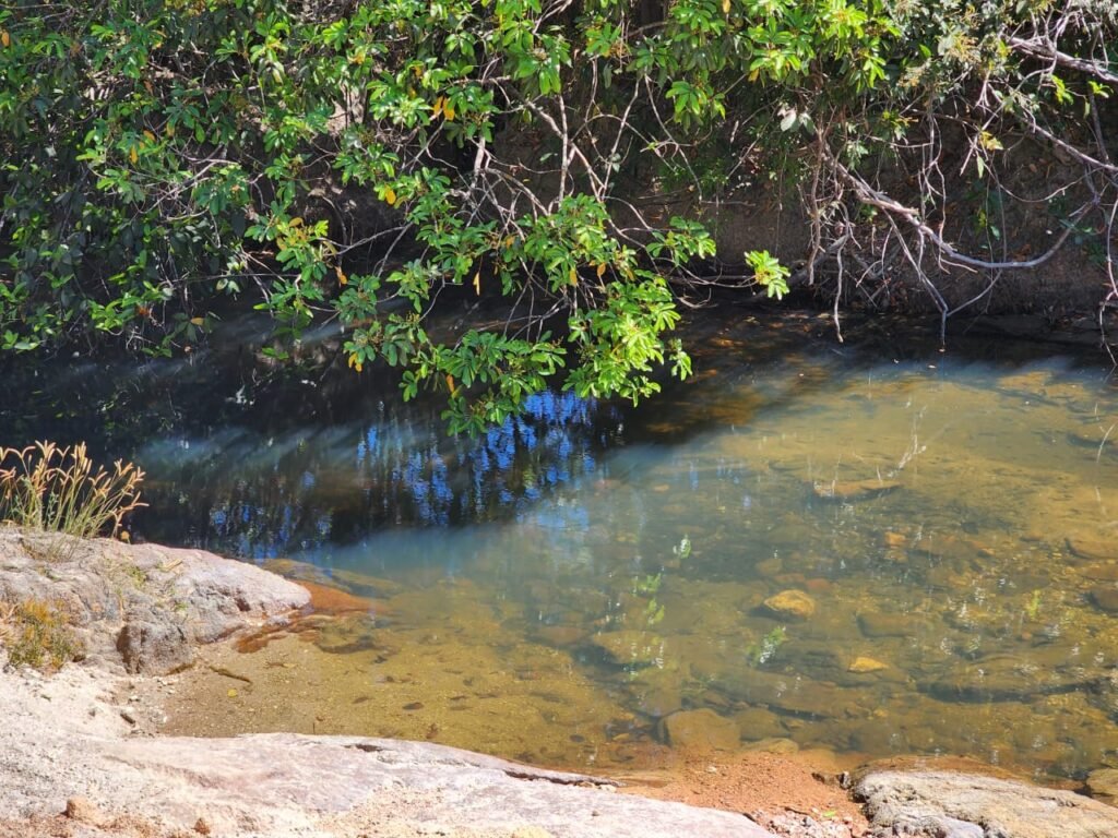 Fazenda 120 Alqueires – Pecuária/Agricultura – 2,5km de Teresina de Goiás – Chapada dos Veadeiros