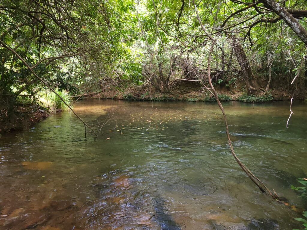 Maravilhosa Chácara de 37ha – Rio – Alto Paraíso de Goiás