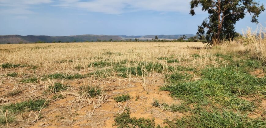 Fazenda 120 Alqueires – Pecuária/Agricultura – 2,5km de Teresina de Goiás – Chapada dos Veadeiros