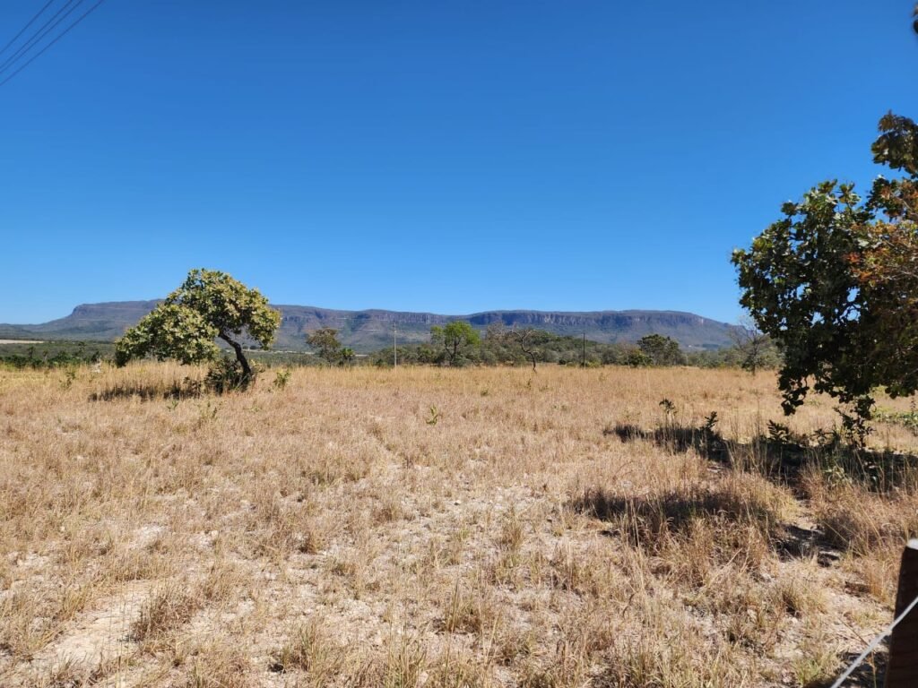 Fazenda 120 Alqueires – Pecuária/Agricultura – 2,5km de Teresina de Goiás – Chapada dos Veadeiros
