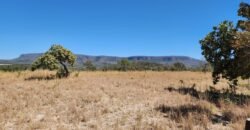 Fazenda 120 Alqueires – Pecuária/Agricultura – 2,5km de Teresina de Goiás – Chapada dos Veadeiros Fazenda 120 Alqueires – Pecuária/Agricultura – 2,5km de Teresina de Goiás – Chapada dos Veadeiros