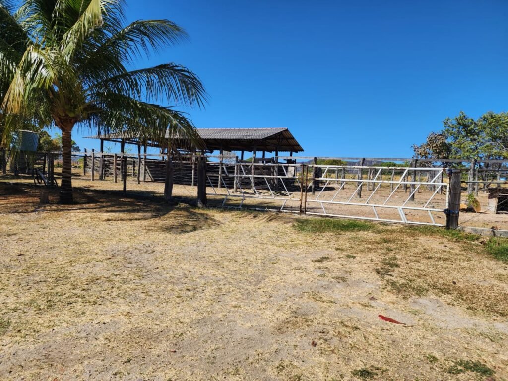Fazenda 120 Alqueires – Pecuária/Agricultura – 2,5km de Teresina de Goiás – Chapada dos Veadeiros