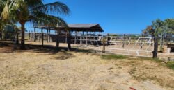 Fazenda 120 Alqueires – Pecuária/Agricultura – 2,5km de Teresina de Goiás – Chapada dos Veadeiros Fazenda 120 Alqueires – Pecuária/Agricultura – 2,5km de Teresina de Goiás – Chapada dos Veadeiros