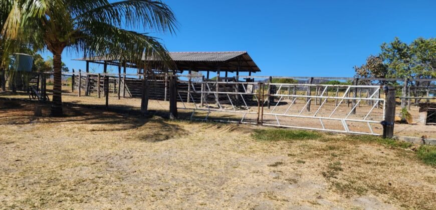 Fazenda 120 Alqueires – Pecuária/Agricultura – 2,5km de Teresina de Goiás – Chapada dos Veadeiros