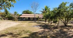 Fazenda 120 Alqueires – Pecuária/Agricultura – 2,5km de Teresina de Goiás – Chapada dos Veadeiros Fazenda 120 Alqueires – Pecuária/Agricultura – 2,5km de Teresina de Goiás – Chapada dos Veadeiros