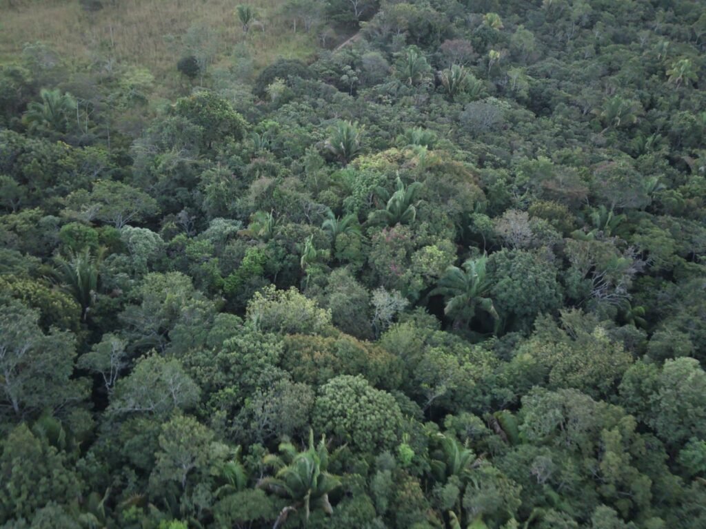 Maravilhosa Chácara de 37ha – Rio – Alto Paraíso de Goiás