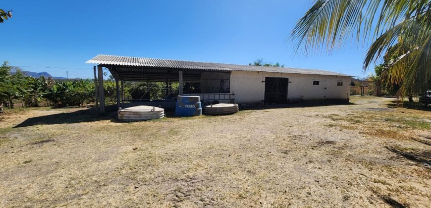 Fazenda 120 Alqueires – Pecuária/Agricultura – 2,5km de Teresina de Goiás – Chapada dos Veadeiros