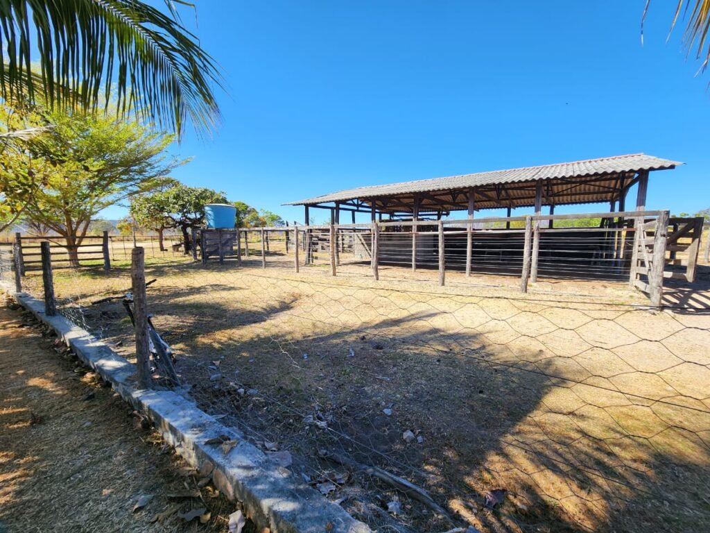 Fazenda 120 Alqueires – Pecuária/Agricultura – 2,5km de Teresina de Goiás – Chapada dos Veadeiros