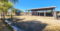 Fazenda 120 Alqueires – Pecuária/Agricultura – 2,5km de Teresina de Goiás – Chapada dos Veadeiros Fazenda 120 Alqueires – Pecuária/Agricultura – 2,5km de Teresina de Goiás – Chapada dos Veadeiros