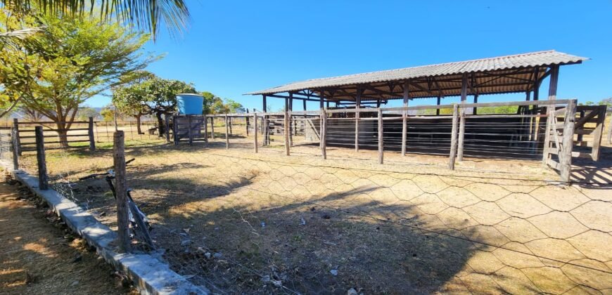 Fazenda 120 Alqueires – Pecuária/Agricultura – 2,5km de Teresina de Goiás – Chapada dos Veadeiros