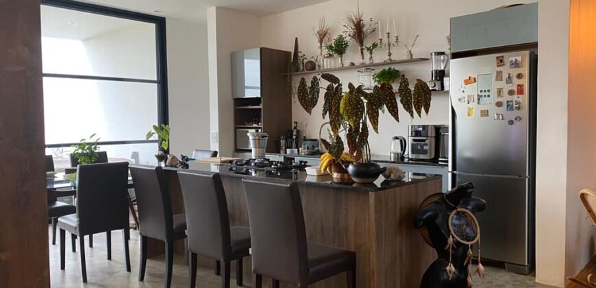 Linda Casa Eldorado 2 – Porteira Fechada – Alto Paraíso de Goiás – Chapada dos Veadeiros