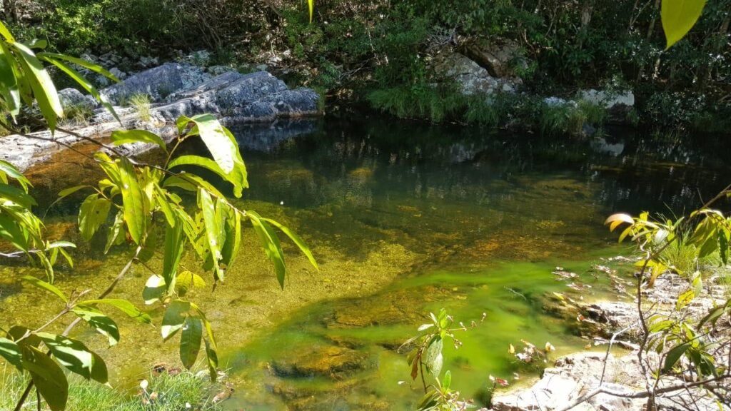 Vende-se Propriedade no Povoado Moinho – Alto Paraíso de Goiás