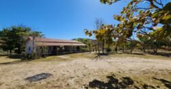 Fazenda 120 Alqueires – Pecuária/Agricultura – 2,5km de Teresina de Goiás – Chapada dos Veadeiros Fazenda 120 Alqueires – Pecuária/Agricultura – 2,5km de Teresina de Goiás – Chapada dos Veadeiros