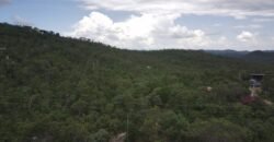 Lote 1.065m2 – 30m2 da Cachoeira da Usina – Urbano – Poço Artesiano – Alto Paraíso de Goiás Lote 1.065m2 – 30m2 da Cachoeira da Usina – Urbano – Poço Artesiano – Alto Paraíso de Goiás