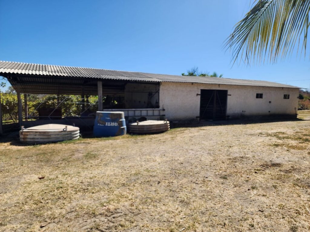 Fazenda 120 Alqueires – Pecuária/Agricultura – 2,5km de Teresina de Goiás – Chapada dos Veadeiros