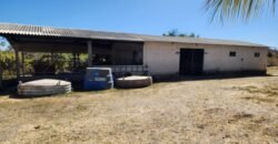 Fazenda 120 Alqueires – Pecuária/Agricultura – 2,5km de Teresina de Goiás – Chapada dos Veadeiros Fazenda 120 Alqueires – Pecuária/Agricultura – 2,5km de Teresina de Goiás – Chapada dos Veadeiros