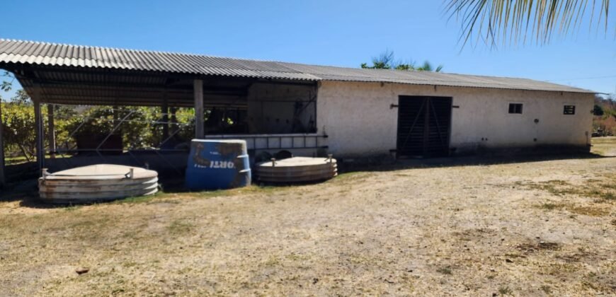 Fazenda 120 Alqueires – Pecuária/Agricultura – 2,5km de Teresina de Goiás – Chapada dos Veadeiros