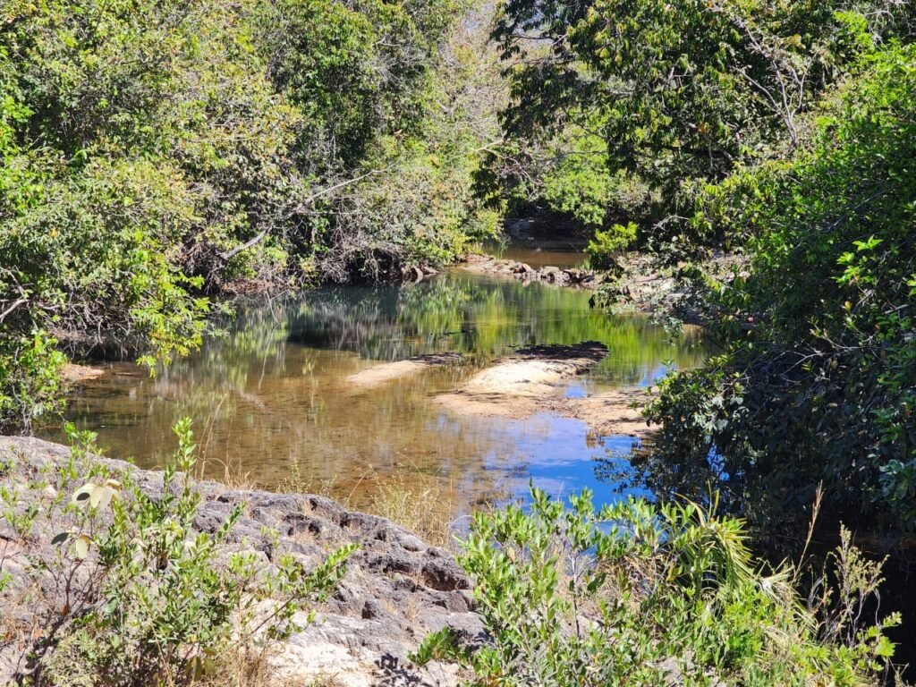 Fazenda 120 Alqueires – Pecuária/Agricultura – 2,5km de Teresina de Goiás – Chapada dos Veadeiros