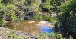 Fazenda 120 Alqueires – Pecuária/Agricultura – 2,5km de Teresina de Goiás – Chapada dos Veadeiros Fazenda 120 Alqueires – Pecuária/Agricultura – 2,5km de Teresina de Goiás – Chapada dos Veadeiros