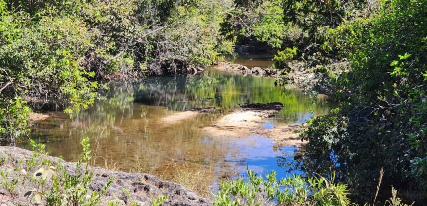 Fazenda 120 Alqueires – Pecuária/Agricultura – 2,5km de Teresina de Goiás – Chapada dos Veadeiros