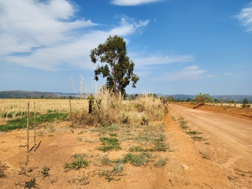 Fazenda 120 Alqueires – Pecuária/Agricultura – 2,5km de Teresina de Goiás – Chapada dos Veadeiros
