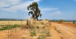 Fazenda 120 Alqueires – Pecuária/Agricultura – 2,5km de Teresina de Goiás – Chapada dos Veadeiros Fazenda 120 Alqueires – Pecuária/Agricultura – 2,5km de Teresina de Goiás – Chapada dos Veadeiros
